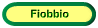 Fiobbio